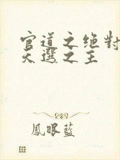 官道之绝对权力天选之主
