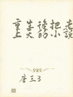 重生后把老公宠上天的小说