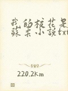 我的校花是福姬苏柔小说txt