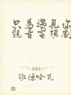 只为遇见你免费观看电视剧全集封面