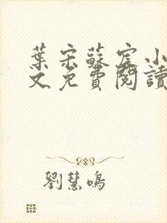 叶宋苏宸小说全文免费阅读封面