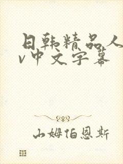 日韩精品人妻av中文字幕