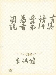 因为爱情有多美观看第14集