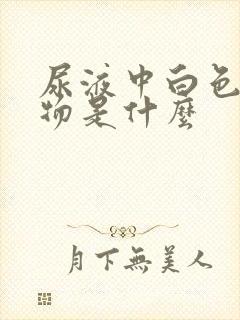 尿液中白色沉淀物是什么