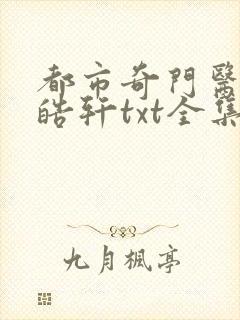 都市奇门医圣叶皓轩txt全集下载