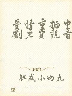 爱情重拍中电视剧免费观看