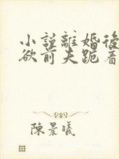 小说离婚后,禁欲前夫跪着求复合