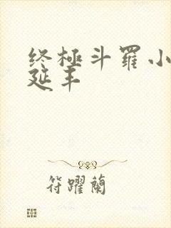 终极斗罗小说王延丰