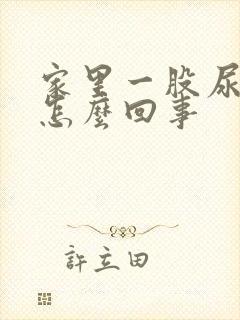 家里一股尿骚味怎么回事