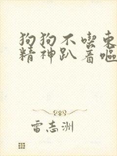 狗狗不吃东西没精神趴着呕吐