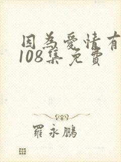因为爱情有多美108集免费封面
