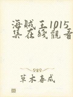 海贼王1015集在线观看免费完整观看封面