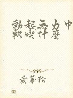 勃起无力中途疲软吃什么