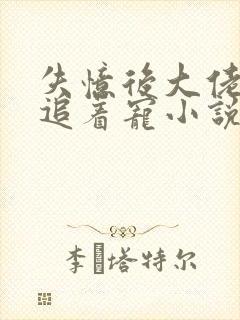 失忆后大佬前夫追着宠小说