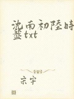 沈南初陆时砚网盘txt