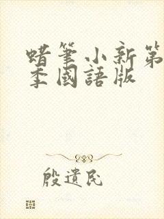 蜡笔小新第10季国语版