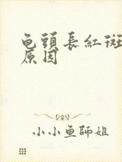 龟头长红斑什么原因封面