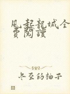 风起龙城全文免费阅读