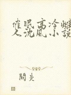 催眠高冷雌坠美人沈风小说最新章节封面