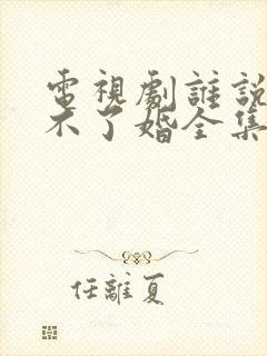 电视剧谁说我结不了婚全集免费播放