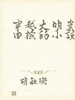 穿越大明崇祯朱由检的小说