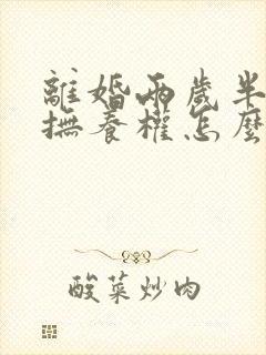 离婚两岁半小孩抚养权怎么判