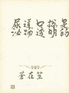 尿道口总是有分泌物透明的