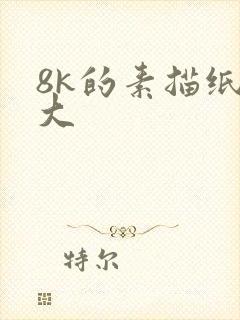 8k的素描纸多大