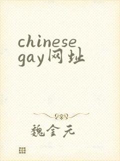 chinesegay网址