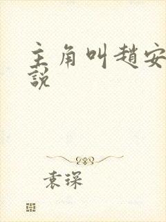 主角叫赵安的小说