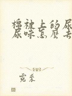 棉被上的尿渍和尿味怎么去掉