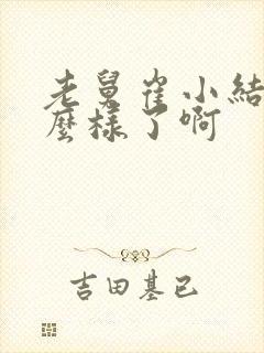 老舅崔小结局怎么样了啊封面