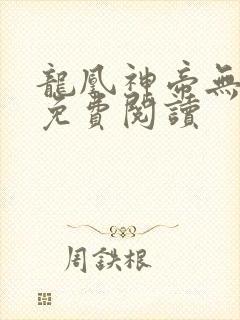 龙凰神帝无弹窗免费阅读