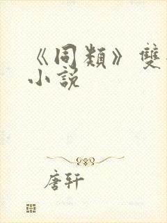 《同类》双女主小说封面