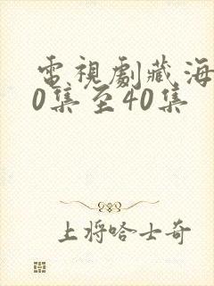 电视剧藏海传20集至40集