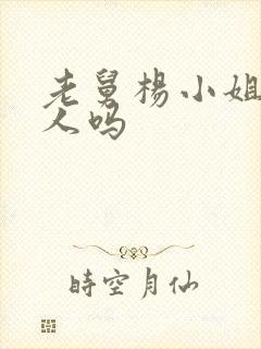 老舅杨小姐是坏人吗