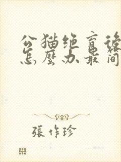 公猫绝育后乱尿怎么办最简单方法