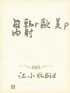 日韩r欧美p片内射