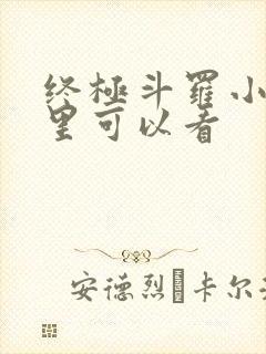 终极斗罗小说哪里可以看