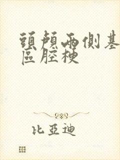 头颅两侧基底节区腔梗