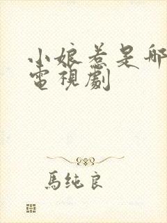 小娘惹是哪里的电视剧封面