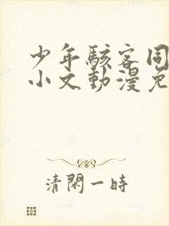 少年骇客同人田小文动漫免费观看