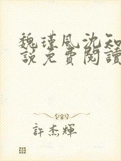 魏瑾风沈知玉小说免费阅读最新章节