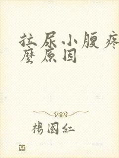 拉尿小腹疼痛什么原因