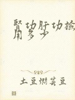 肾功肝功检查费用多少