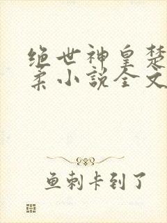 绝世神皇楚枫苏柔小说全文免费阅读