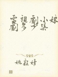 电视剧小娘惹全剧多少集