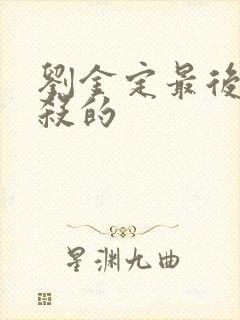 刘金定最后被谁杀的