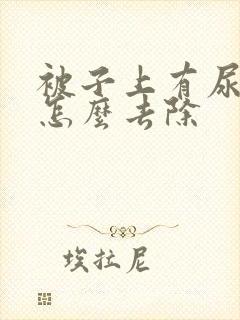 被子上有尿骚味怎么去除封面