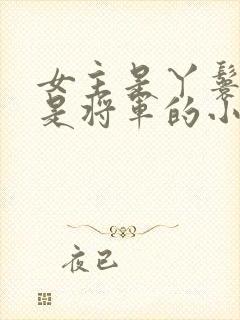 女主是丫鬟男主是将军的小说